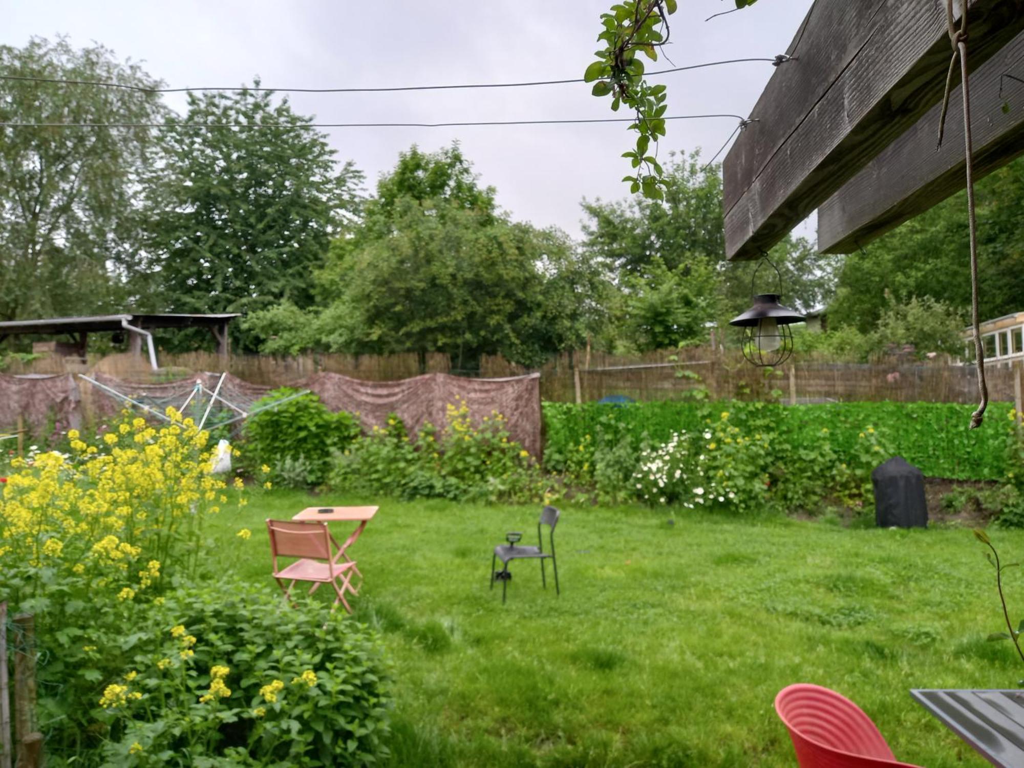 Gee Is Sharing Her Home Liège Extérieur photo
